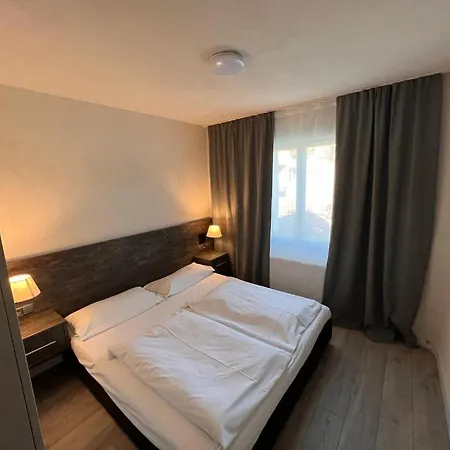 Altstadt Schwanen 호텔