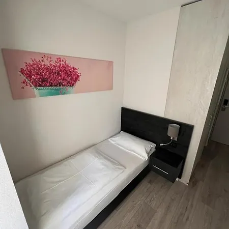 Altstadt Schwanen Hotel Waldshut-Tiengen