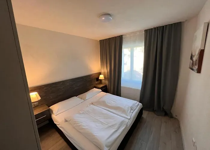 Altstadt Schwanen فندق