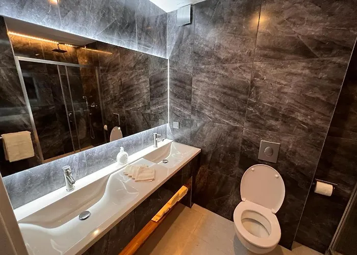 فندق Altstadt Schwanen