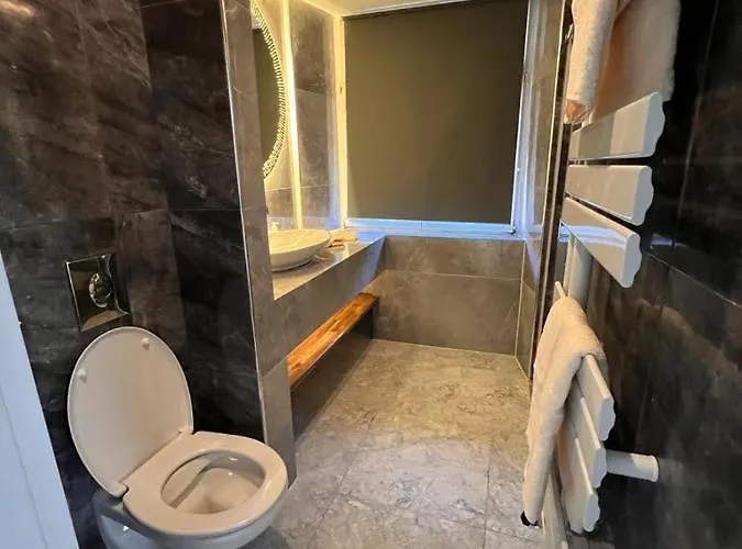 فندق Altstadt Schwanen